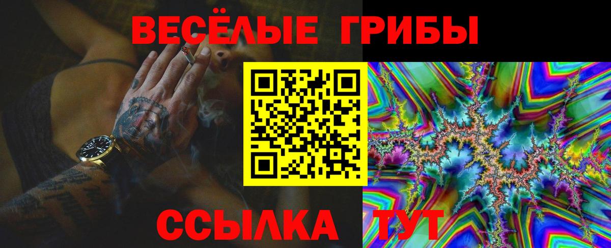 Псилоцибиновые грибы мицелий Ачинск